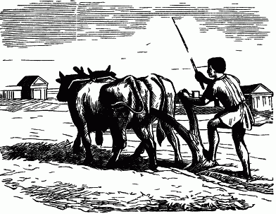 Roman Ploughing