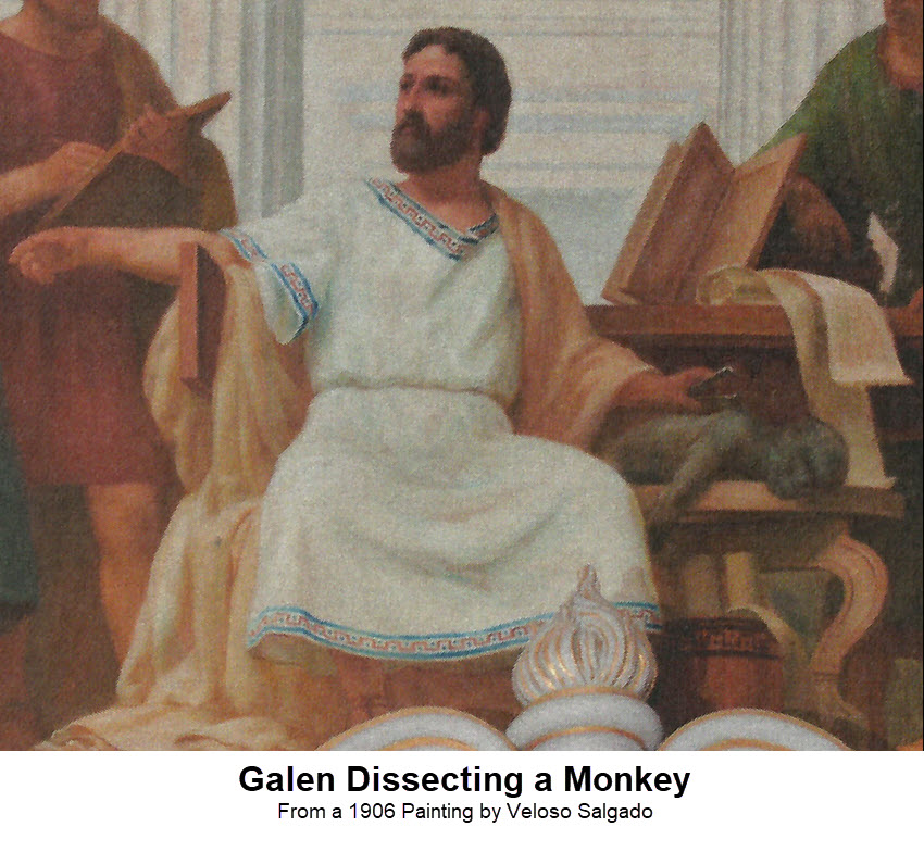 Galen, the greatest Roman Doctor