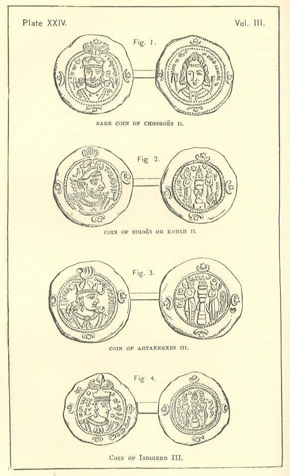 Plate Xxiv. 

