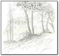 'NEMI'—IN THE ALBAN MOUNTAINS.